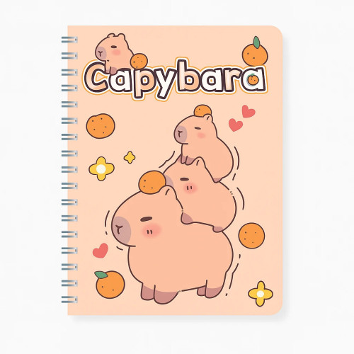 دفتر فانتزی سیمی وارداتی کاپی بارا